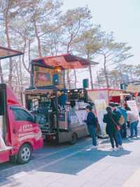 เดินเล่นชมซากุระสวยๆ ที่ Seokchon Lake 