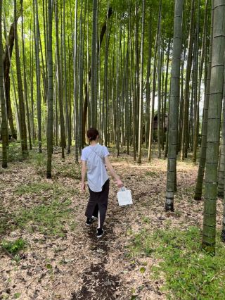 【A Must-Visit When Going to Gotemba Outlet】Toraya Workshop