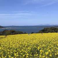 【能古島】福岡市からフェリーで10分！