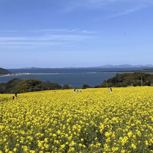 【能古島】福岡市からフェリーで10分！