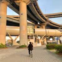 봄에는 자전거타며 서울여행🚲