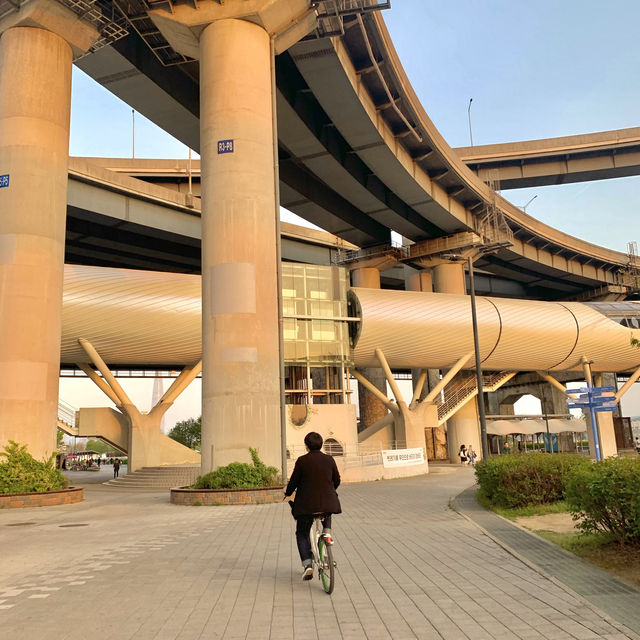 봄에는 자전거타며 서울여행🚲