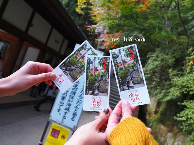 วัดยามาเดระ: ใบไม้เปลี่ยนสีสุดปัง🍁