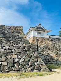 【岡山県】漆黒の天守が美しい岡山城