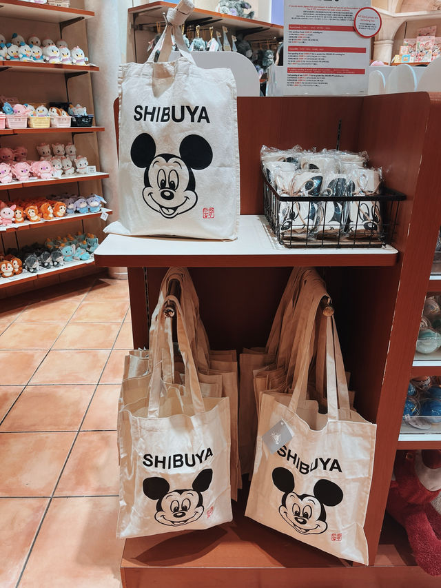 都会にあるディズニーランド🏰🤍
