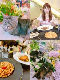 長沙灣新開的田園風素食貓Cafe🐈