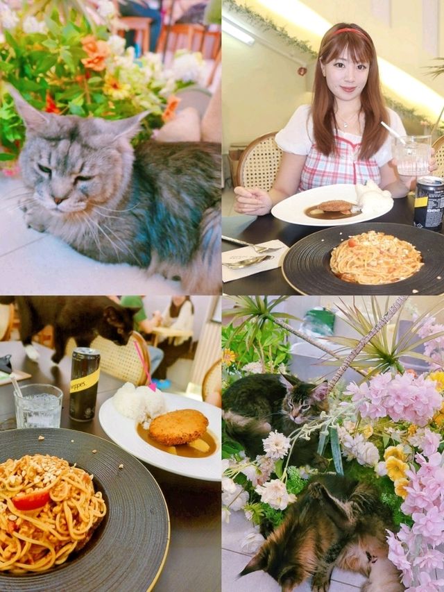 長沙灣新開的田園風素食貓Cafe🐈