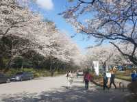 Lovely Jungwoe Park