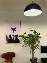 弘大で朝活ならここ！朝7:00からやってるオシャレカフェ🌱
