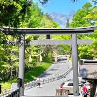 【戸隠神社中社/長野県】戸隠神社5社のうちの中心地 
