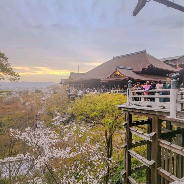 🇯🇵 Kiyomizu-dera temple | Breathtaking panoramic view from sacred temple 😍