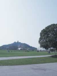 上海賞櫻，辰山植物園最佳打卡點