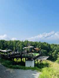 【長野県】白馬三山へ向かって絶景ブランコ！