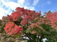 【福岡】🌴九州自然動物園：小動物摸摸樂，親子好去處！