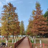 後灘濕地公園:自然王國