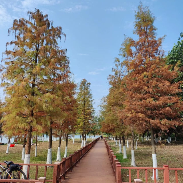 後灘濕地公園:自然王國 後灘濕地公園:自然王國