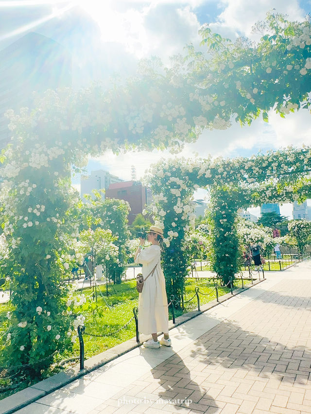 【神奈川】海が隣にあるローズガーデン