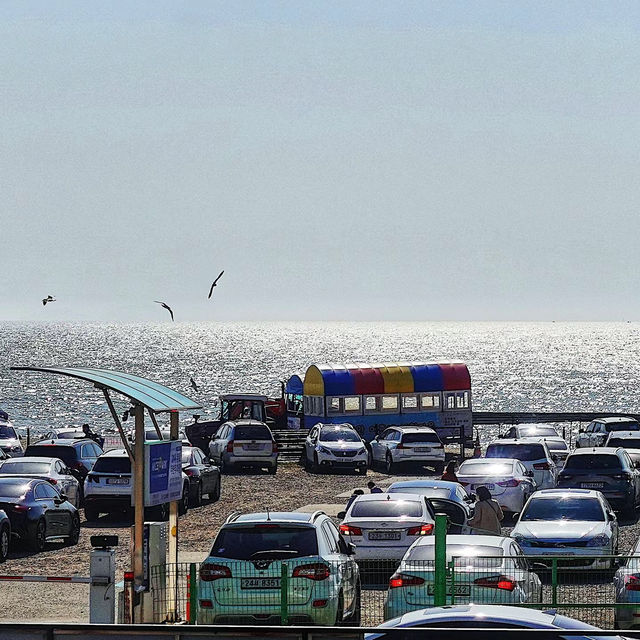 「岩井海岸：廣闊沙灘、秀麗自然景緻」