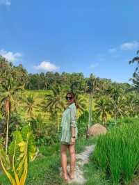 🇮🇩Rice Terraces in Bali-A Symphony of Nature💜