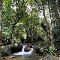 Draco Nature Camp