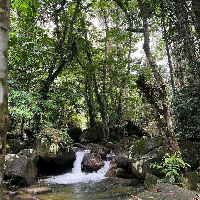 Draco Nature Camp