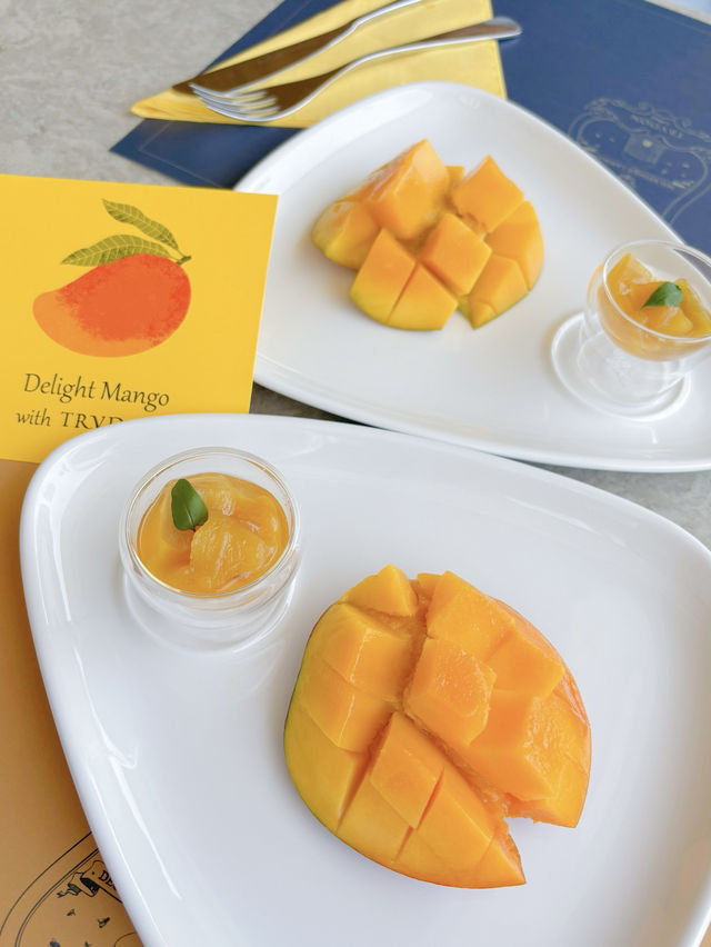 ‘블루헤이븐 망고뷔폐’에 초대되어 다녀왔어요🥭💛