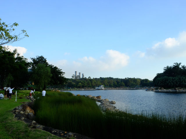 【春天好去處】「迪欣湖」：美人樹下野餐🧺，人生一大樂事‼️