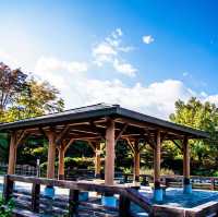 あがたの森公園