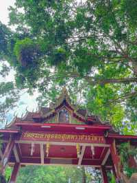 วัดพระธาตุดอยสุเทพราชวรวิหาร | เชียงใหม่