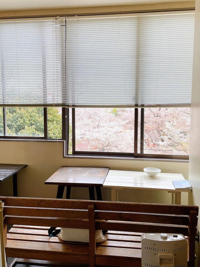 【福岡カフェ】春には窓から桜が見えるまったりカフェ