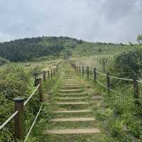 제주에서 가장 예쁜 오름은 여기 !! 🏔️