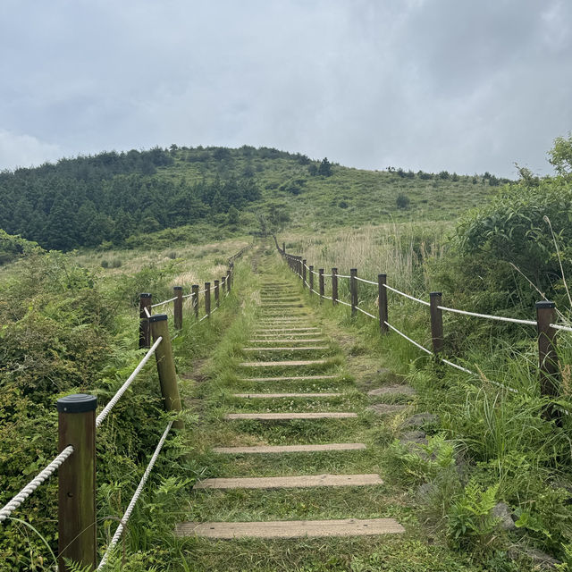제주에서 가장 예쁜 오름은 여기 !! 🏔️