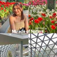 สวนดอกไม้เมืองหนาว🌷