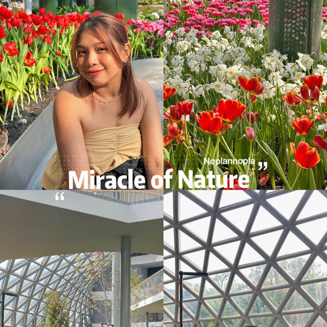 สวนดอกไม้เมืองหนาว🌷