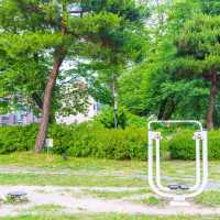 숨겨진 장미 스팟을 알려드려요