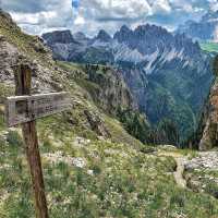 Stevia Hutte