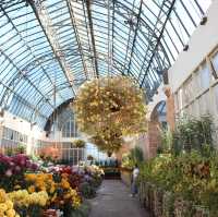 【NZ】オークランドWinter Garden
