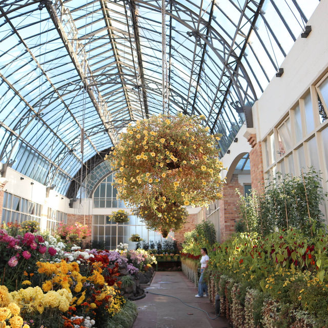【NZ】オークランドWinter Garden