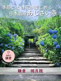 【鎌倉】季節ごとの花が楽しめる［日本遺産］明月院