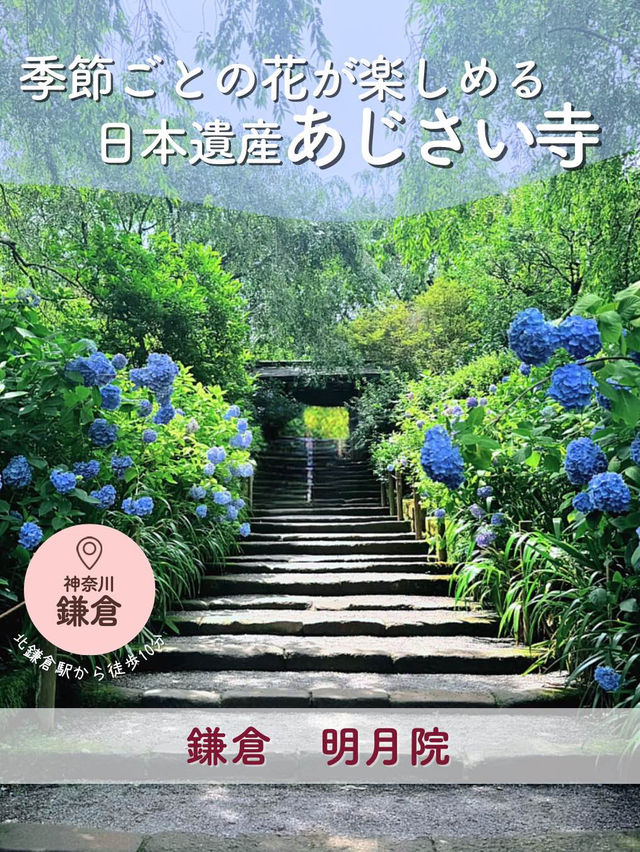 【鎌倉】季節ごとの花が楽しめる［日本遺産］明月院