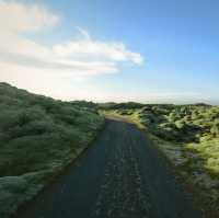 The Mossy lava of Iceland เส้นทางแห่งทุ่งมอส