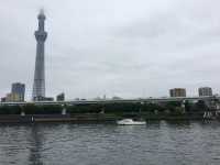 漫步隅田公園：東京都市中的綠意與壯麗景觀