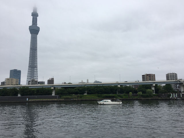 漫步隅田公園：東京都市中的綠意與壯麗景觀