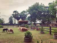 Trot Cafe @ Khaoyai 