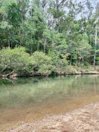 🇦🇺 Awesome Camping Site in Queensland, Australia