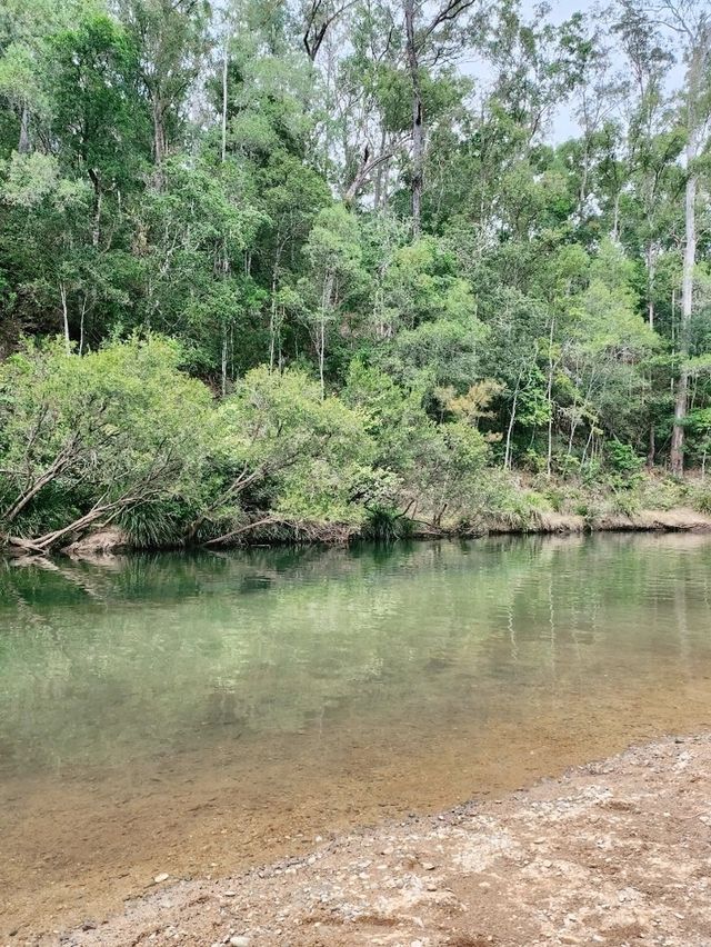 🇦🇺 Awesome Camping Site in Queensland, Australia