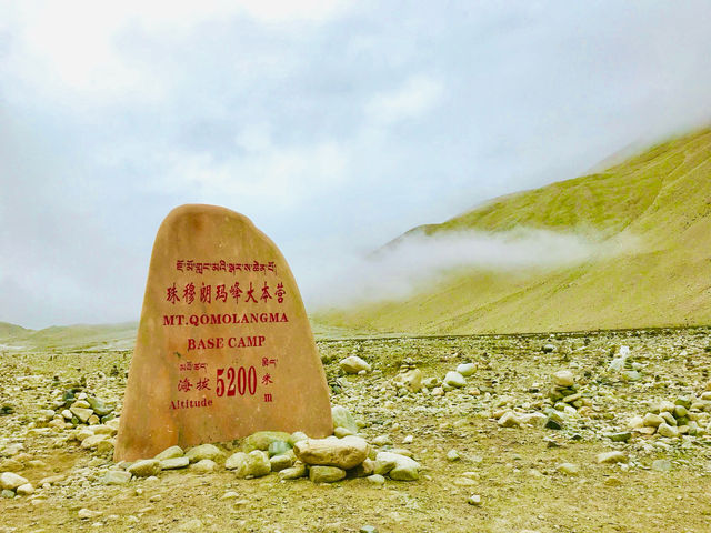 Journey offers a deep connection to nature 🇨🇳