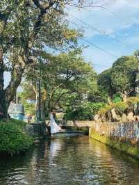 【滋賀】夏が見頃の水中の花「梅花藻」