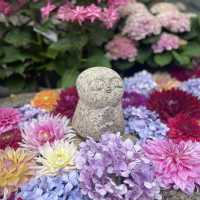【奈良県・明日香村】紫陽花が綺麗！厄除けでも有名な岡寺へ