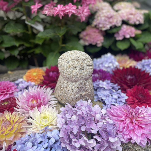 【奈良県・明日香村】紫陽花が綺麗！厄除けでも有名な岡寺へ